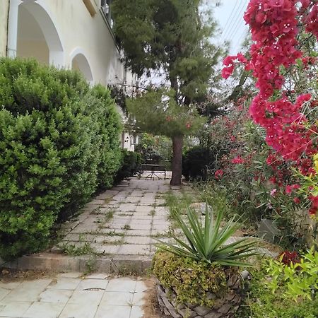 Peaceful Oasis Διαμέρισμα Αθήνα Εξωτερικό φωτογραφία