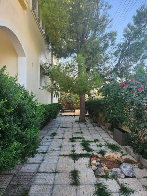 Peaceful Oasis Διαμέρισμα Αθήνα Εξωτερικό φωτογραφία