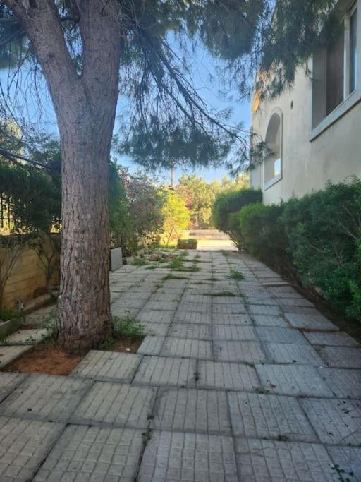 Peaceful Oasis Διαμέρισμα Αθήνα Εξωτερικό φωτογραφία