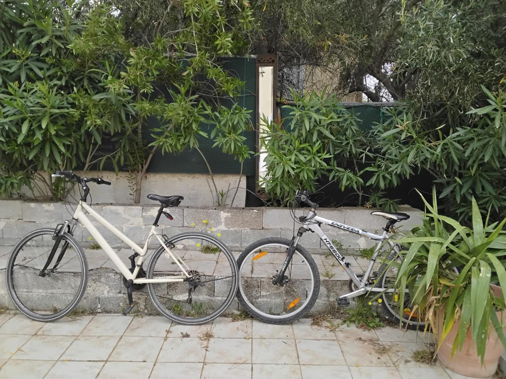 Peaceful Oasis Διαμέρισμα Αθήνα Εξωτερικό φωτογραφία