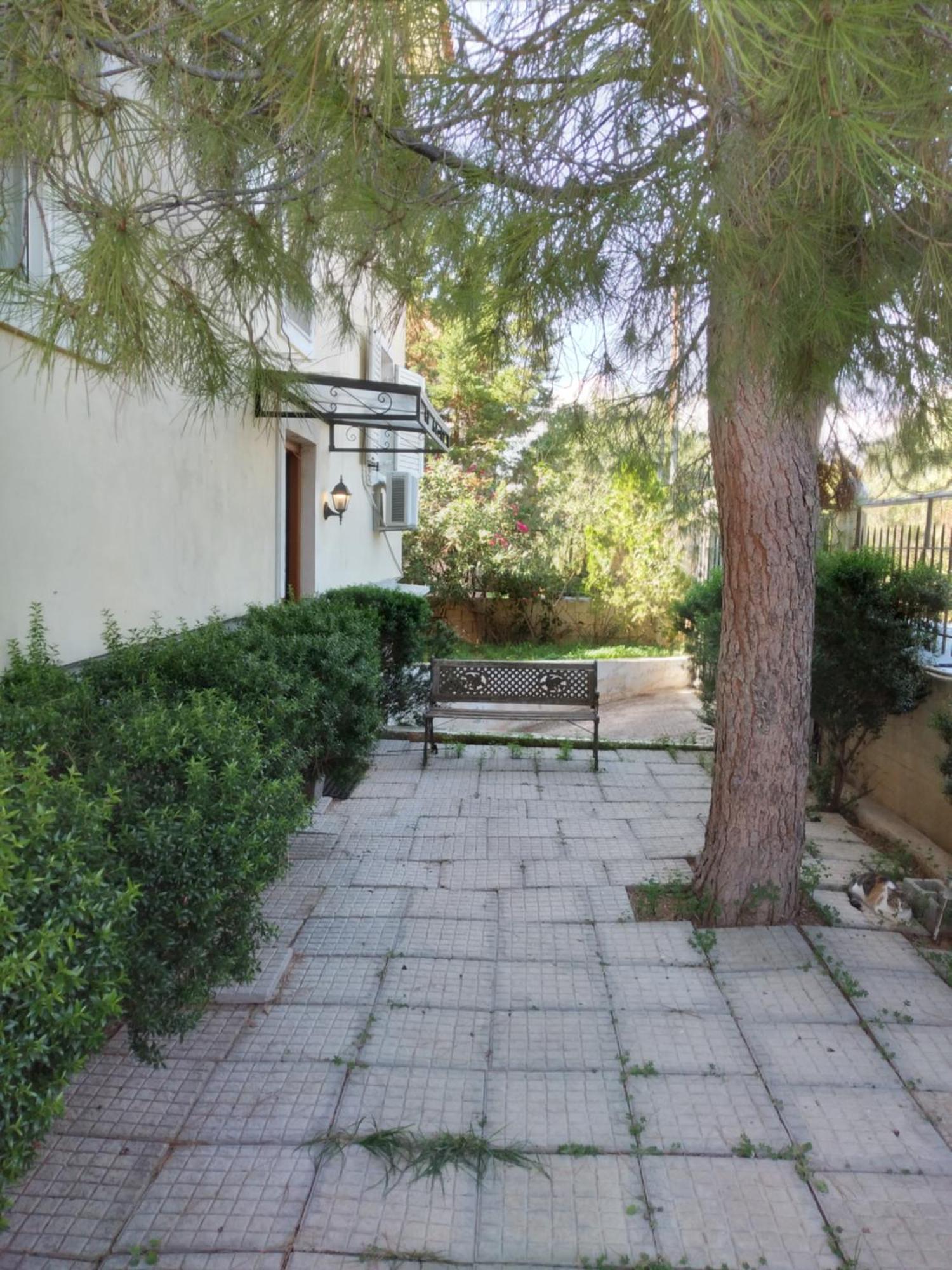 Peaceful Oasis Διαμέρισμα Αθήνα Εξωτερικό φωτογραφία