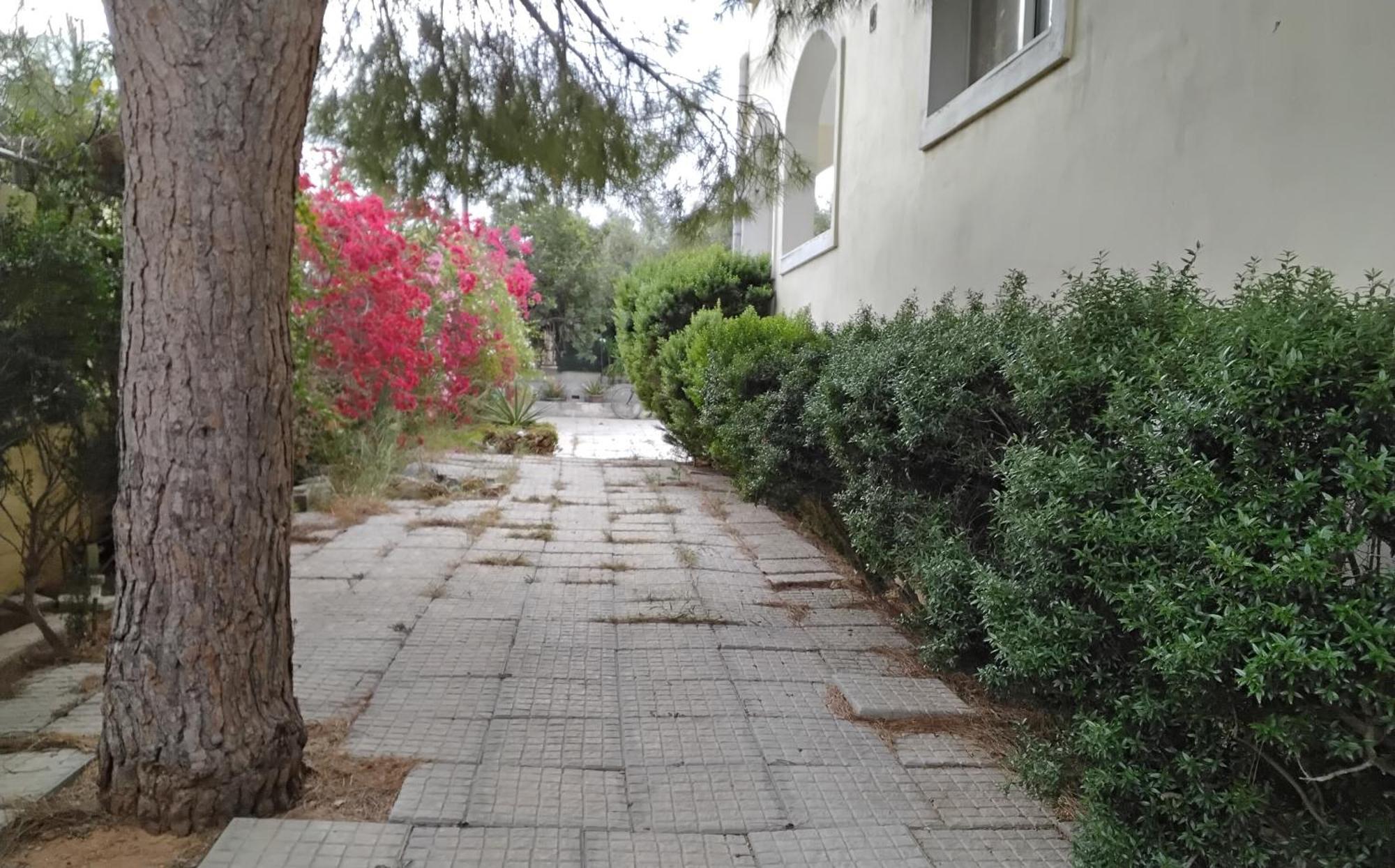 Peaceful Oasis Διαμέρισμα Αθήνα Εξωτερικό φωτογραφία
