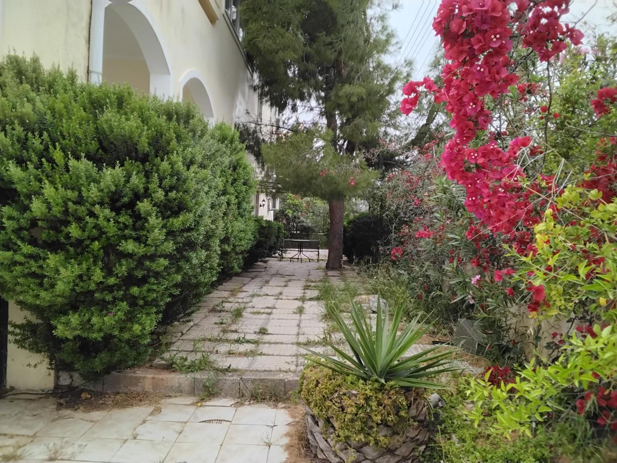 Peaceful Oasis Διαμέρισμα Αθήνα Εξωτερικό φωτογραφία