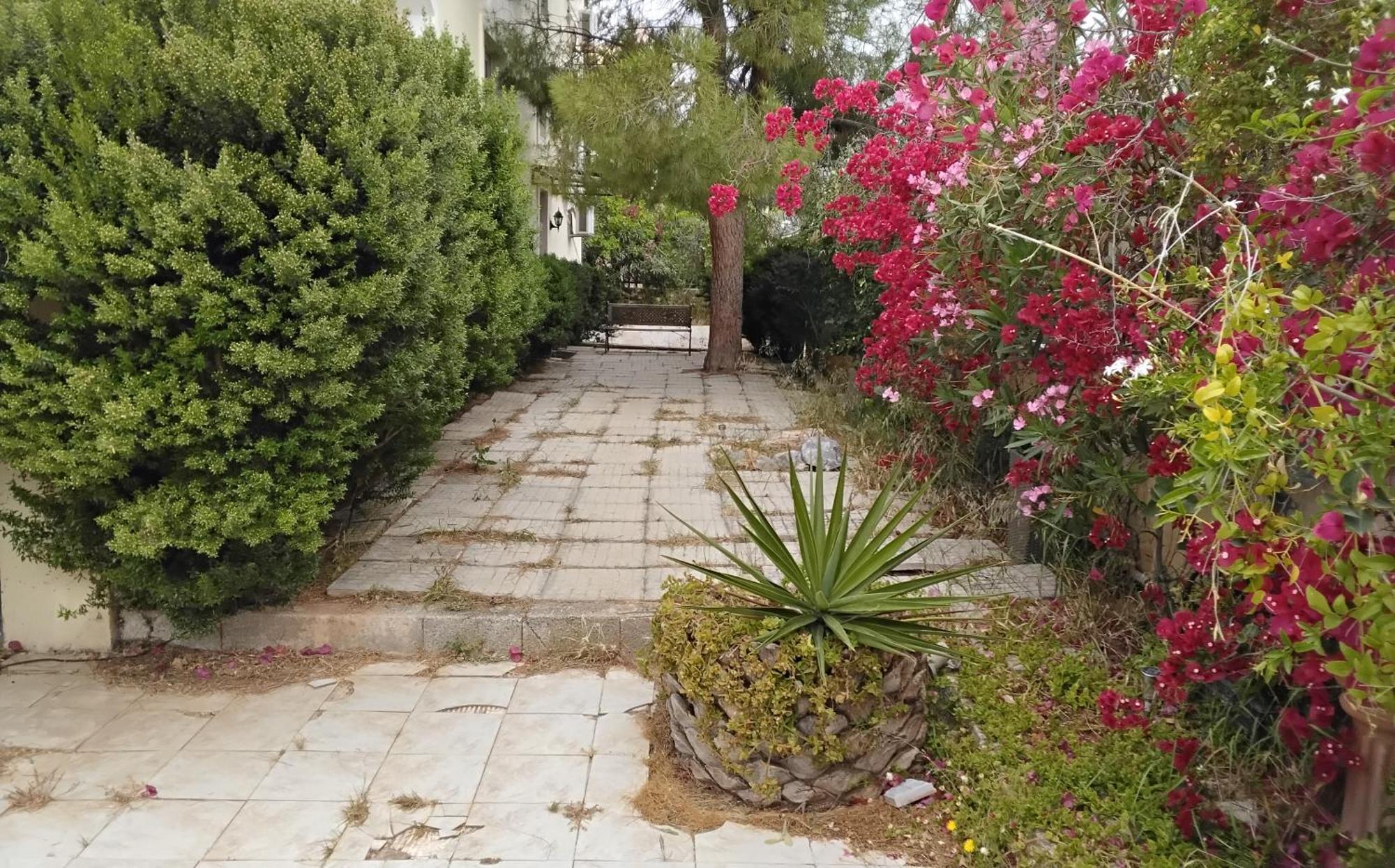 Peaceful Oasis Διαμέρισμα Αθήνα Δωμάτιο φωτογραφία